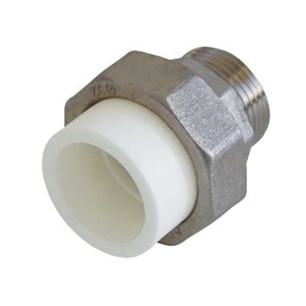 PP OYNAR BAŞLI RAKOR ERKEK - 32*1