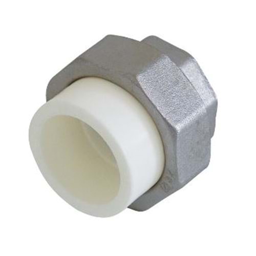 PP OYNAR BAŞLI RAKOR DİŞİ - 63*2