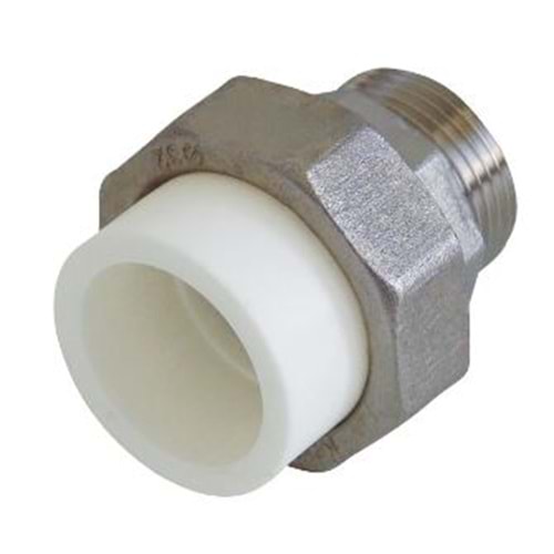 PP OYNAR BAŞLI RAKOR ERKEK - 63*2