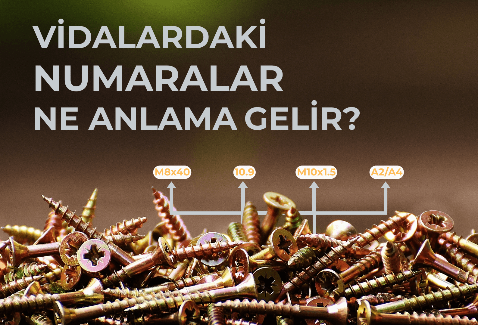 Vidalardaki Numaralar Ne Anlama Gelir?